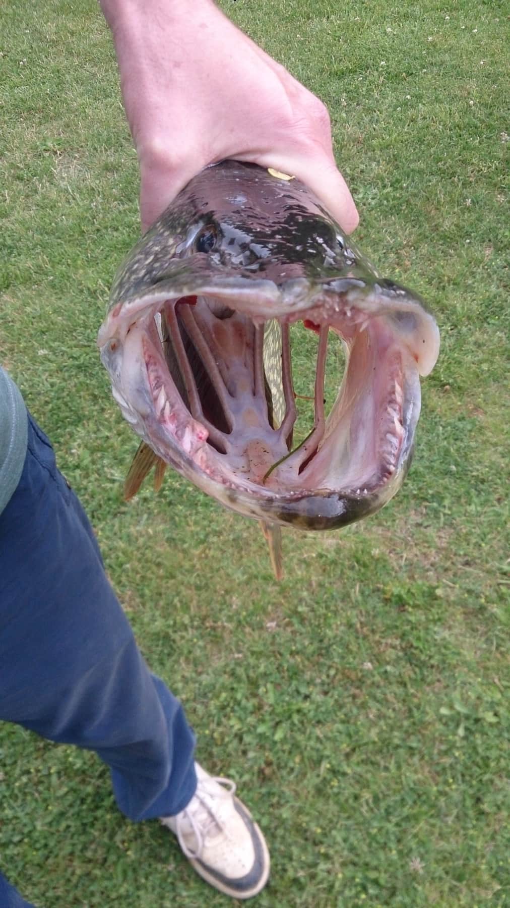 Езеро и гора