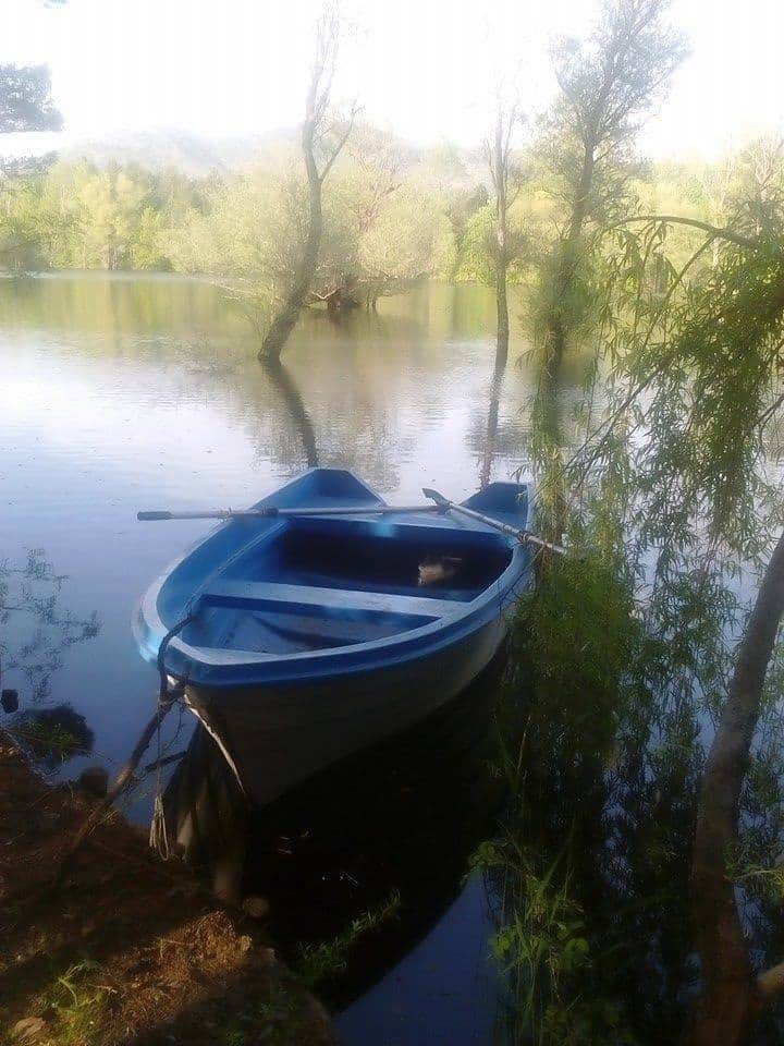 Горски потоци